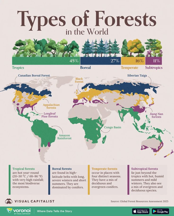 BraveSoulsSpace's tweet photo. The four major types  of forests  Around the world https://t.co/jRZGOnKnTQ