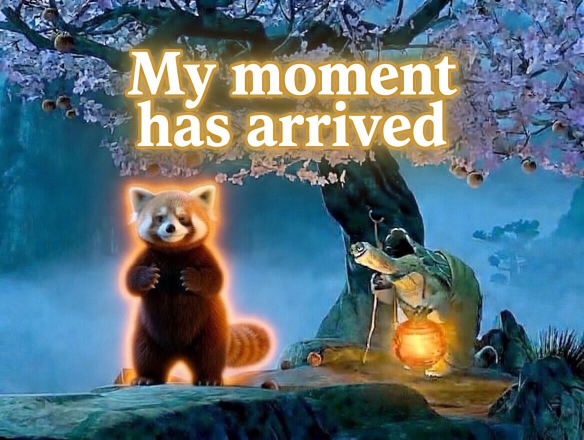 BRING THE HAT tweet media