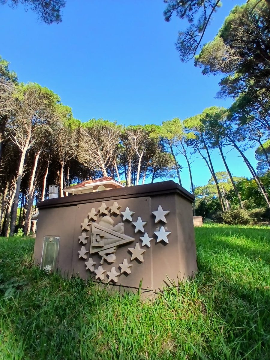 ɴᴏᴛɪᴄɪᴀ ᴘɪɴᴄʜᴀ tweet media