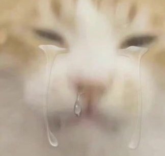 𝄞⨾𓍢ִ໋σf 𝕸𝐢𝐧𝐞𓂃𝄢ᡣ𐭩 tweet media
