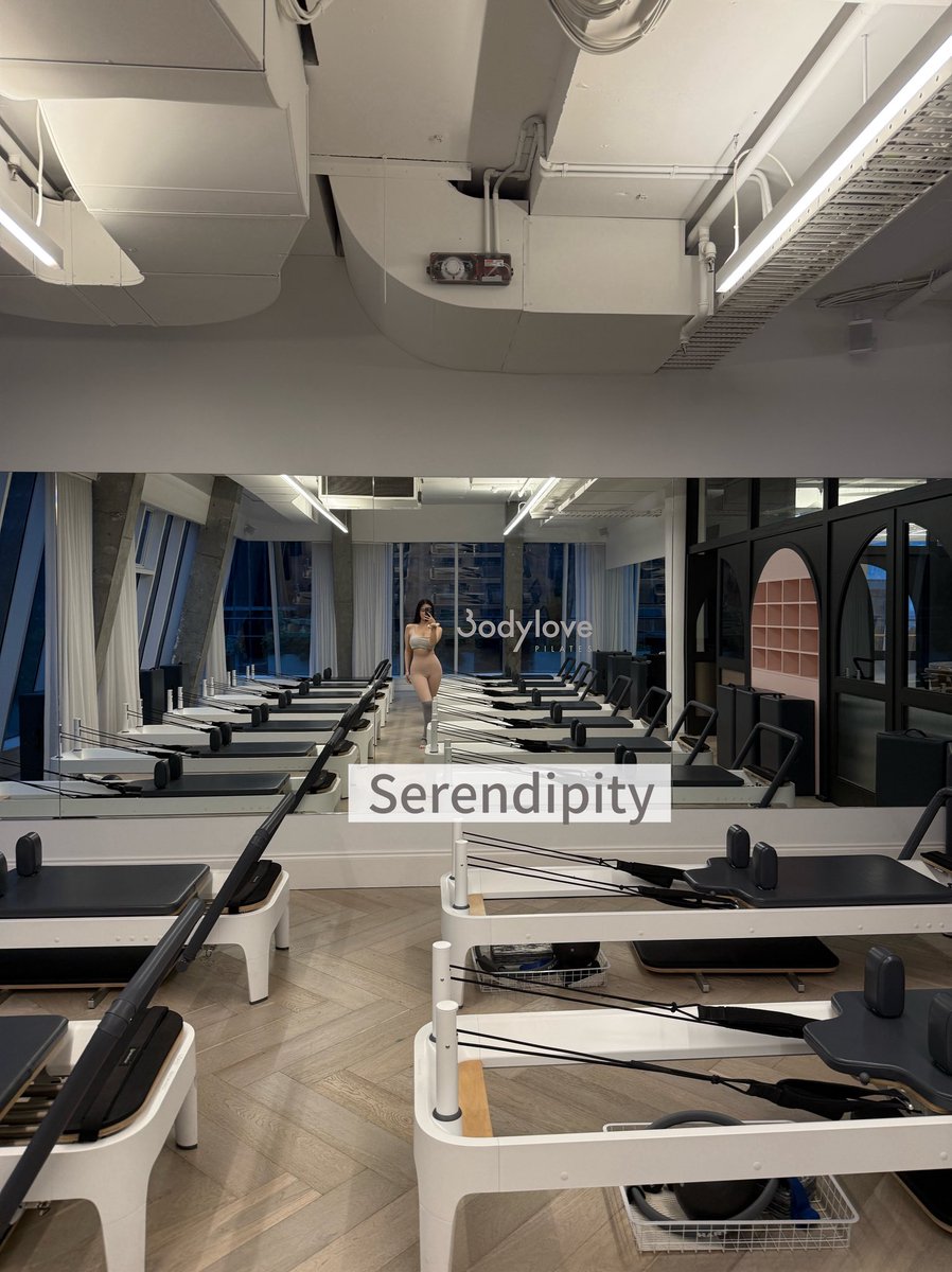 Serendipity tweet media