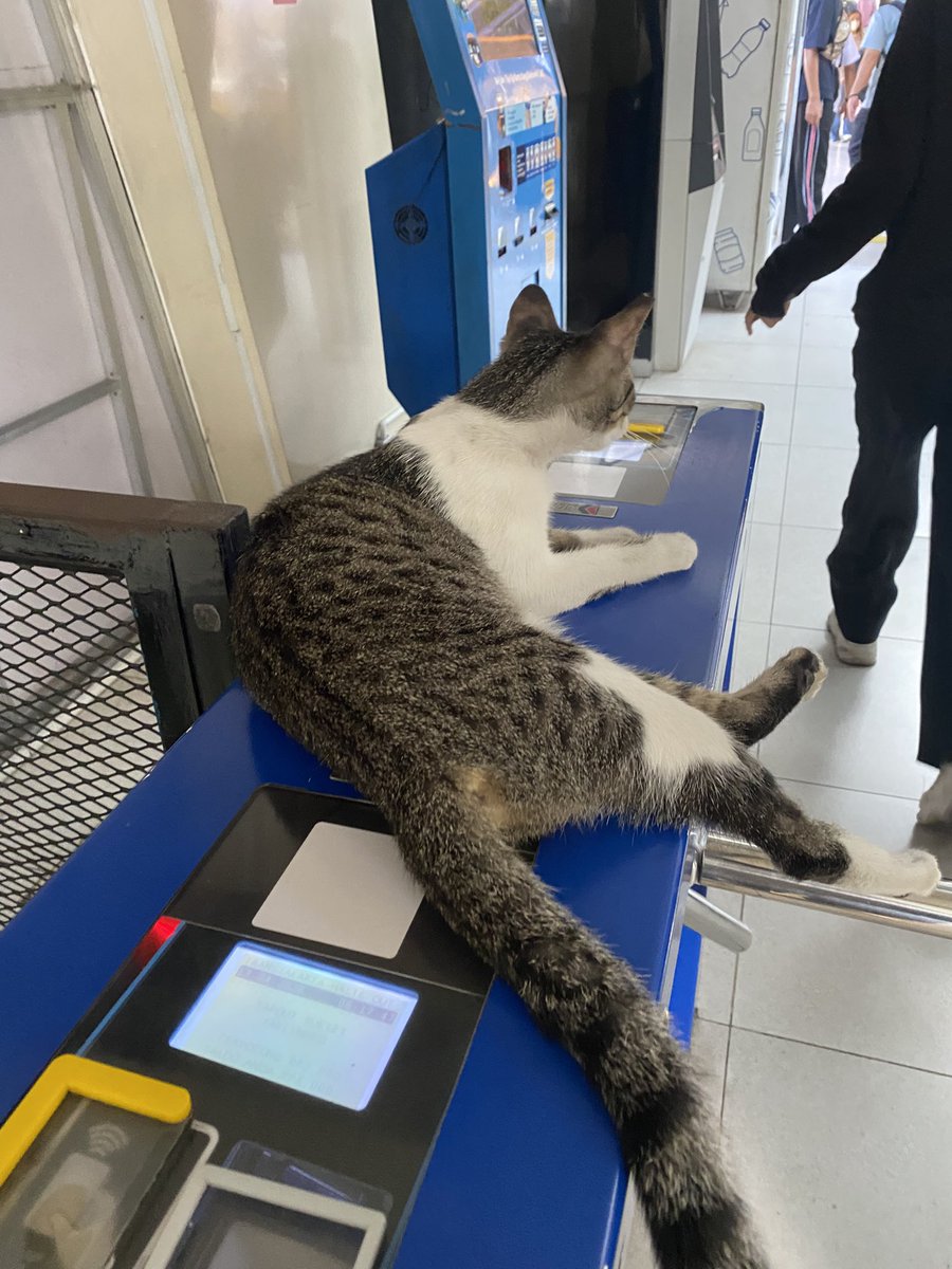 7R | Cibubur - Pluit tweet media