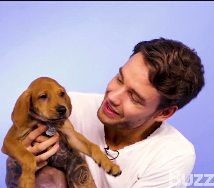 Liam J. Payne FOREVER👼❤️🩹 Romania🇹🇩 tweet media