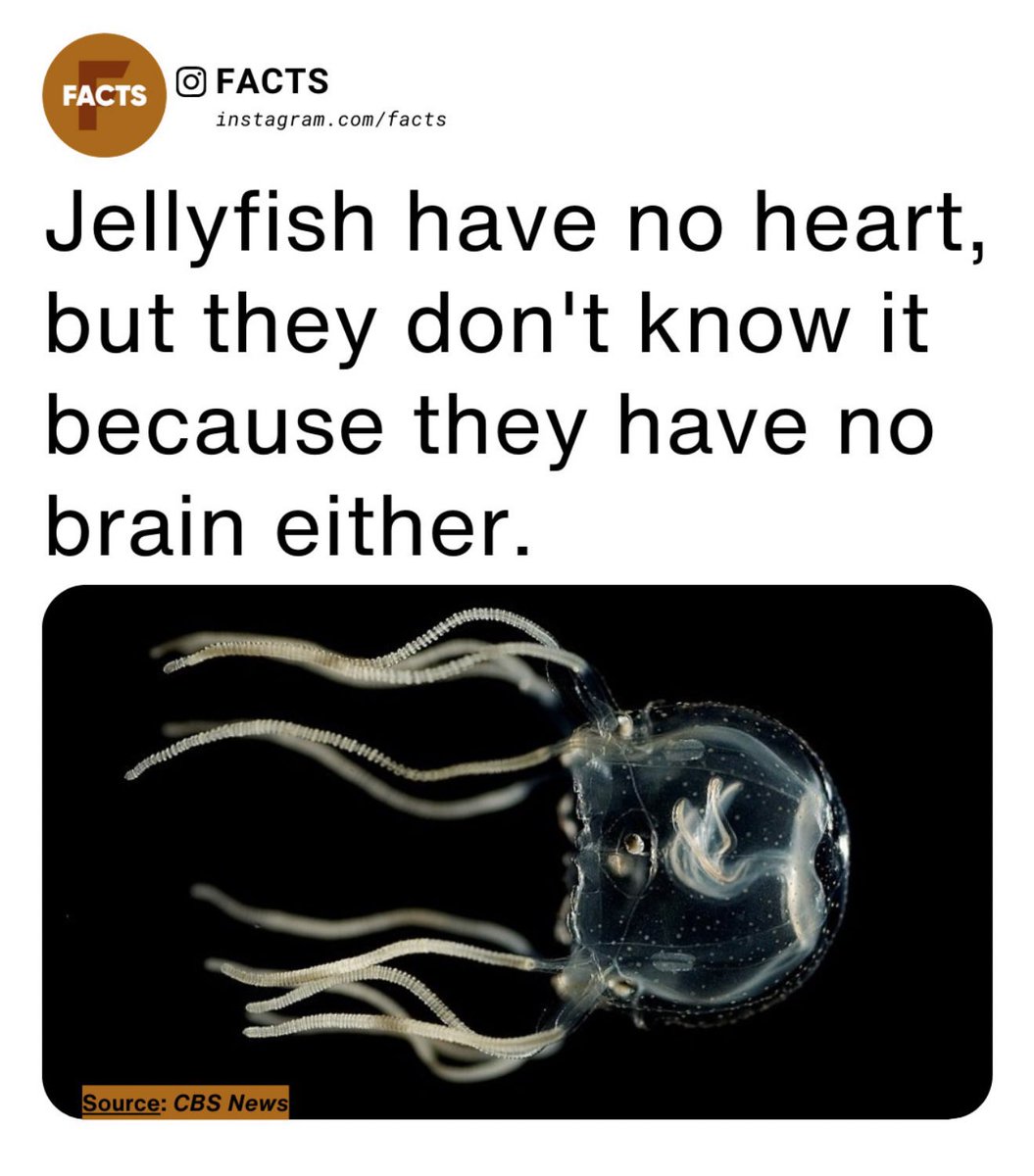 🎩Laird of the Manor 2.0🎩 tweet media