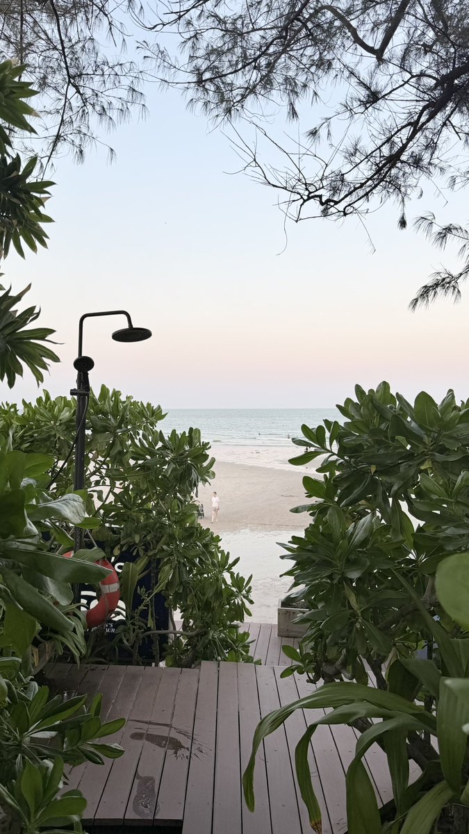 Beach Girl 😎 tweet media