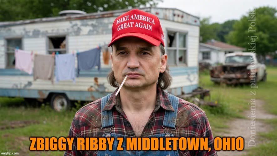 NowoczesnaDemokracja tweet media