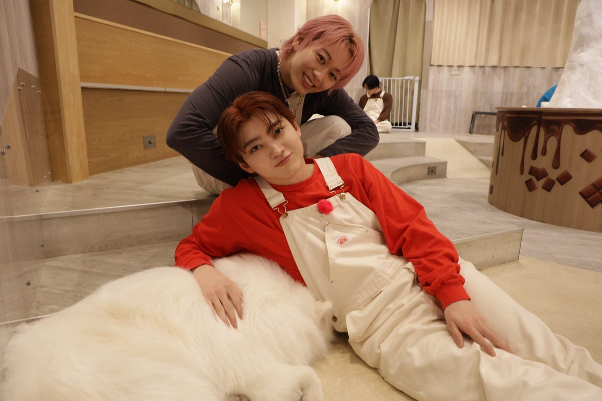 みゃー tweet media