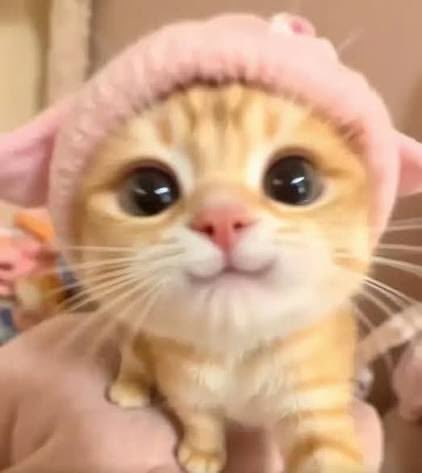 kay 青空 tweet media