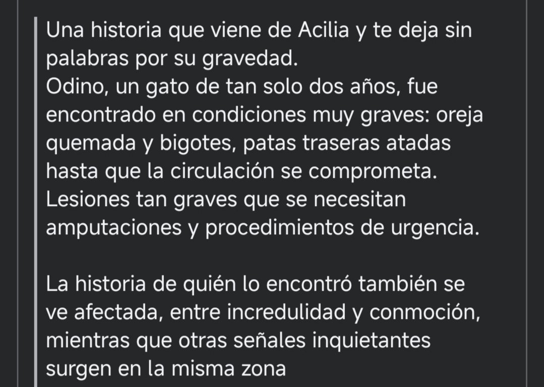 LᎾℬᎯ tweet media