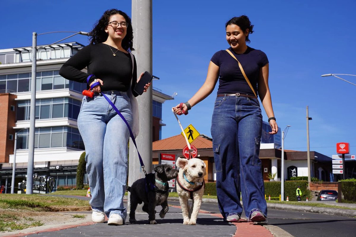 Sebastian Siero tweet media