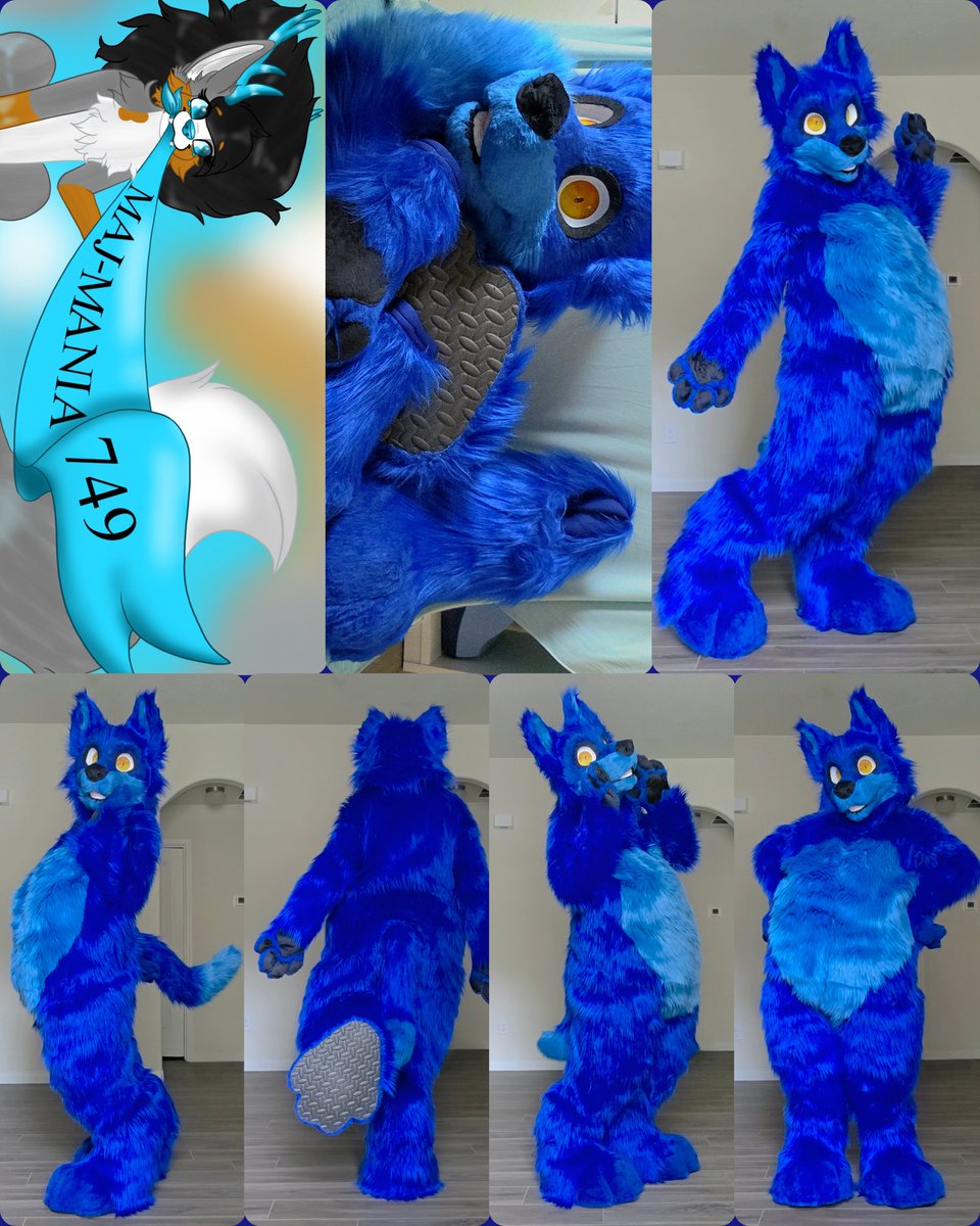 MMania749's tweet photo. This blue cutie is all done and headed home 🏡 💙!! https://t.co/nnz1r0tNqx