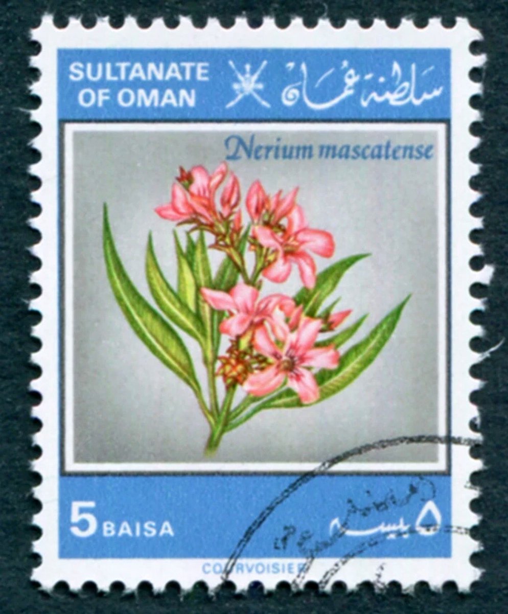 Philatelovely's tweet image. GOOd afternOOn everyOne, it’s the letter O in the a-z of Flowers on Stamps. Here’s my choices, please share yours too.

Oman 🇴🇲 
Orchid 

#stampcollecting #philately #stamps
