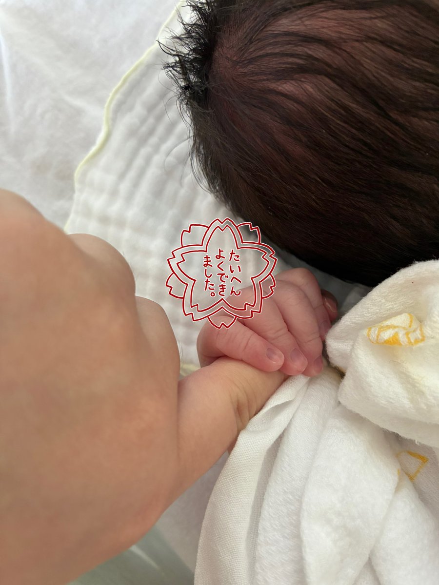 たかなん tweet media