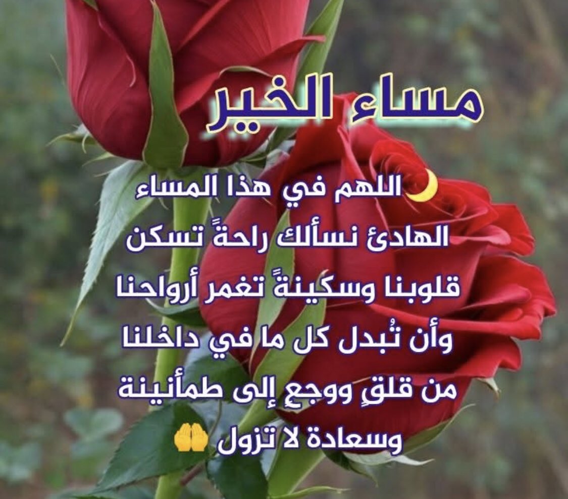 ساره الدوسري🇸🇦 tweet media