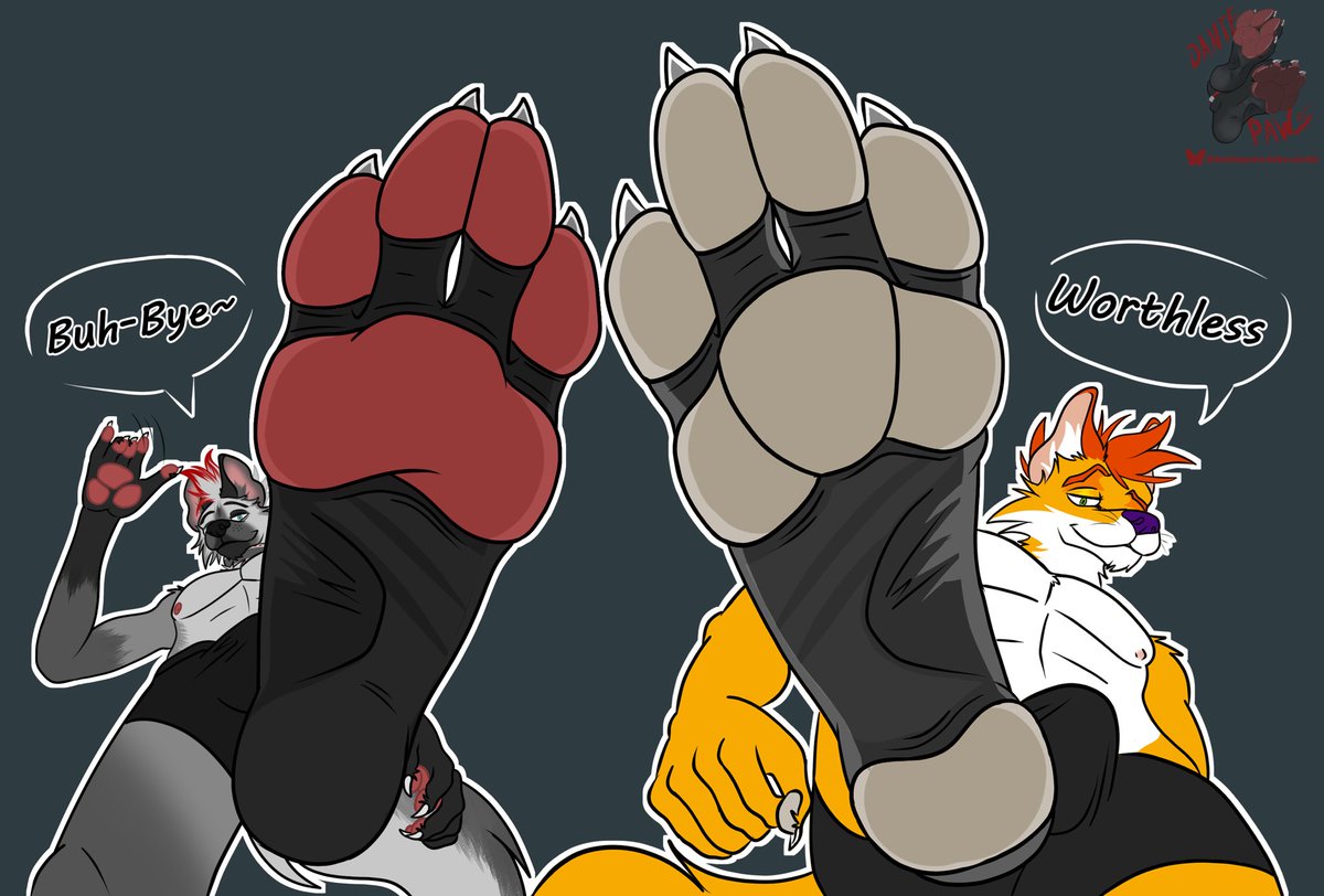 Zeki Tilki 👣 tweet media