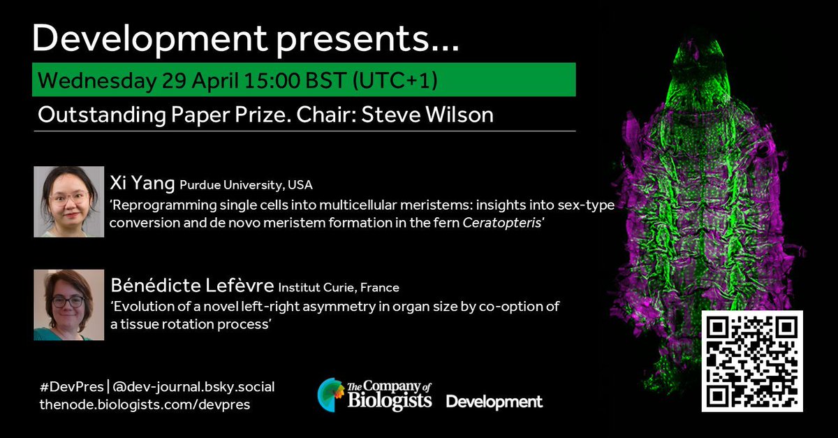 Development tweet media