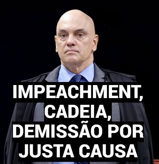 MARIA D S CAMBEIRO tweet media