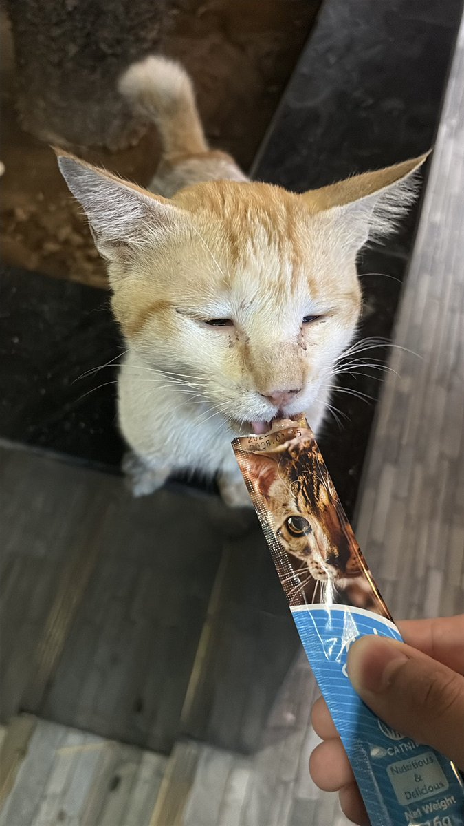 Leo 레오 tweet media