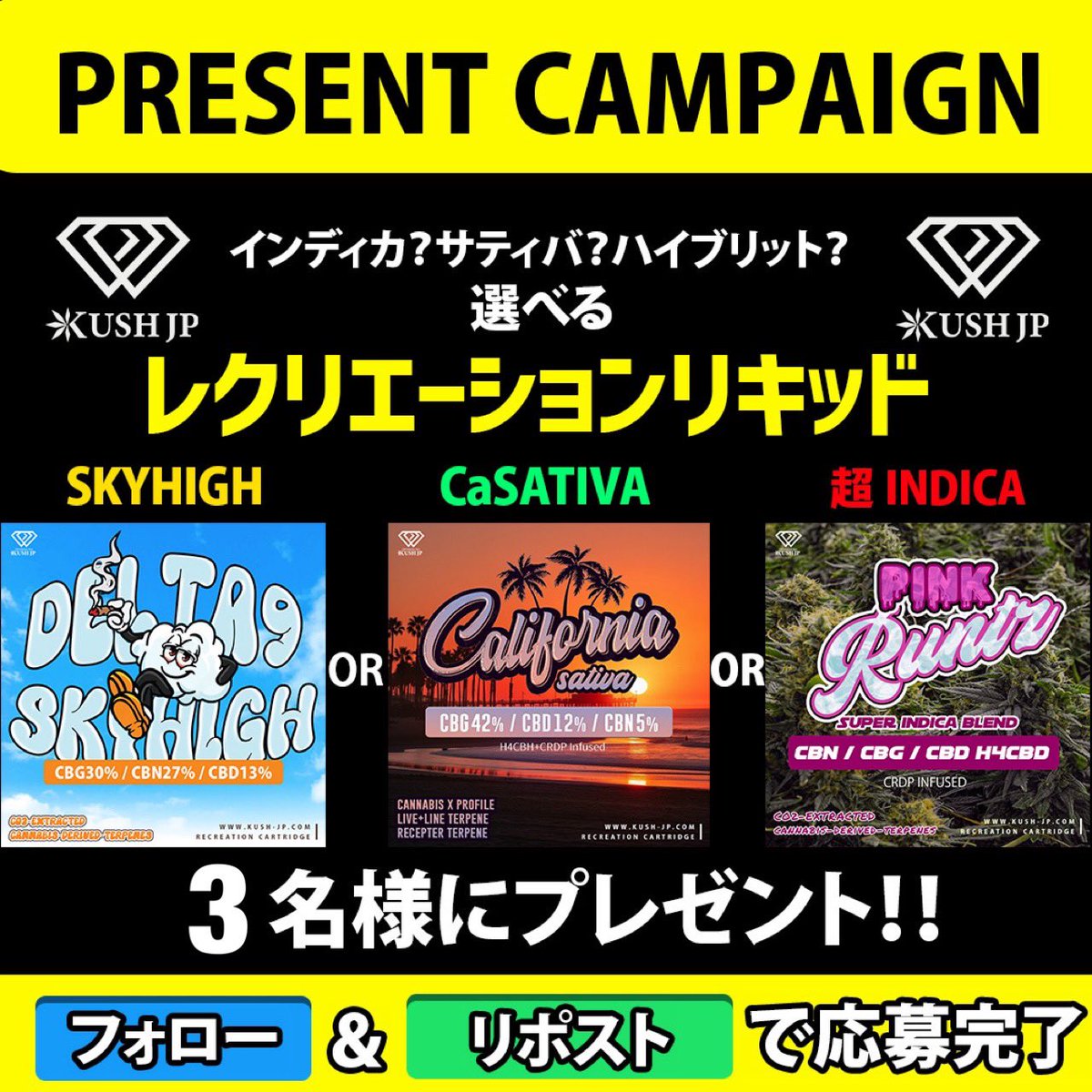 【公式】KUSH JP tweet media