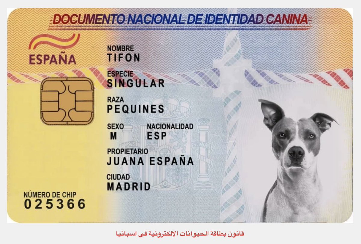 د.سعاد القيسي tweet media