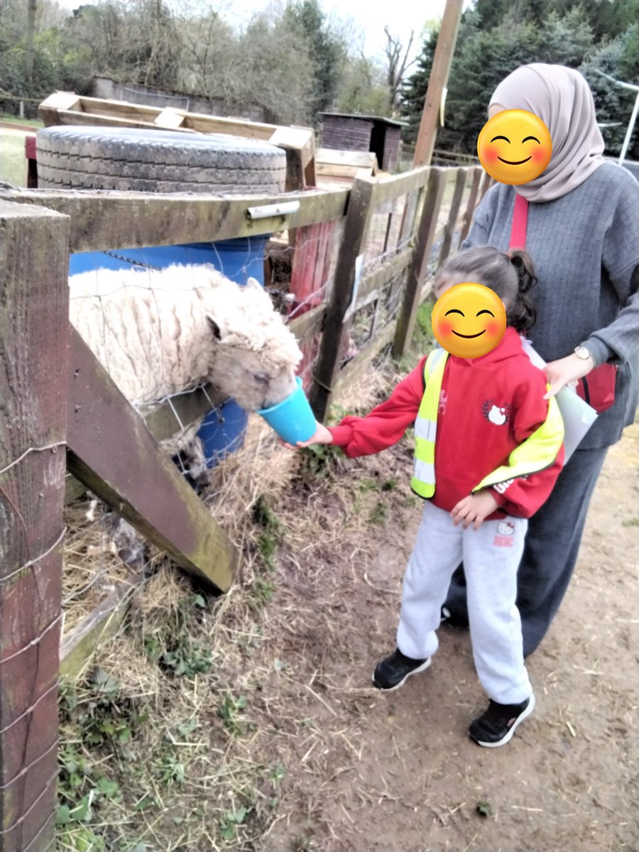 LeighPrimary's tweet image. The children in the Nest visited Spencer's retreat farm. We met all the animals and got the chance to feed them too. We had a lovely afternoon. 🐄🐷🐈🐑🐔🐤
#Nest #spencersretreatfarm #experiences #lifelonglearners #makingmemories