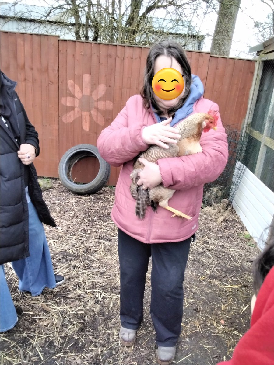 LeighPrimary's tweet image. The children in the Nest visited Spencer's retreat farm. We met all the animals and got the chance to feed them too. We had a lovely afternoon. 🐄🐷🐈🐑🐔🐤
#Nest #spencersretreatfarm #experiences #lifelonglearners #makingmemories
