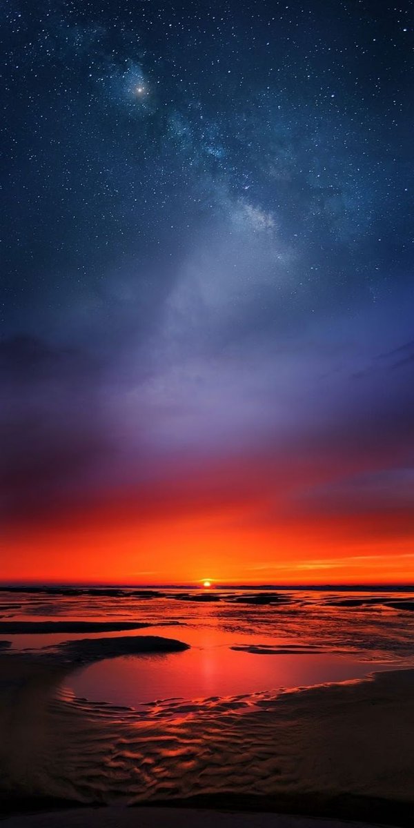 Wonderful tweet media