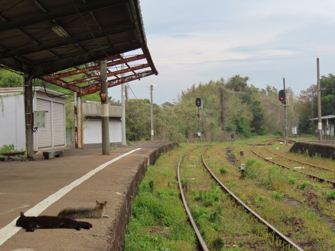 百島 純 tweet media