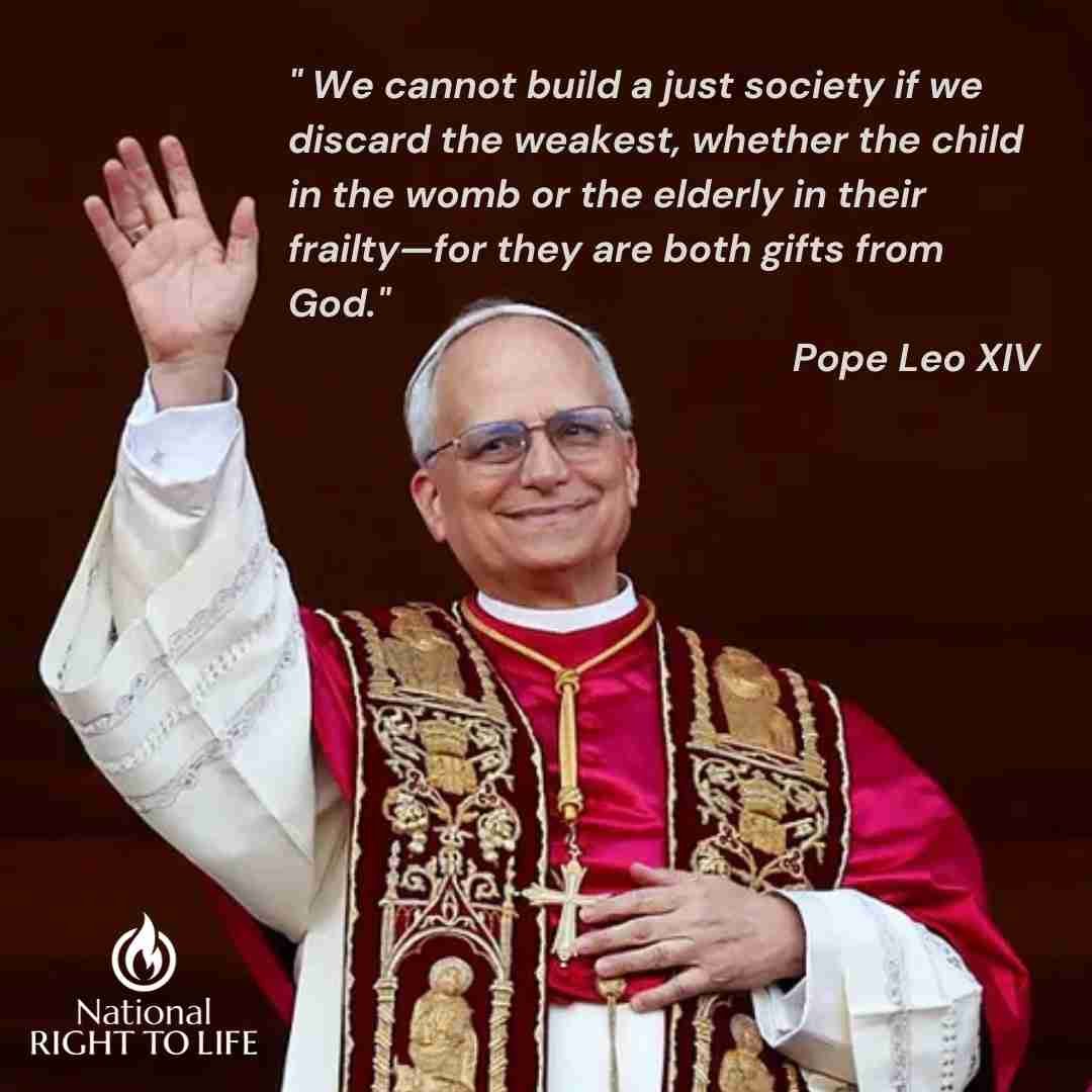 LifeNews.com tweet media