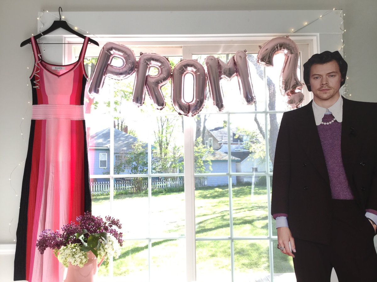 CelebrityCutout's tweet image. It’s giving best prom-posal ever

#prom #harrystyles