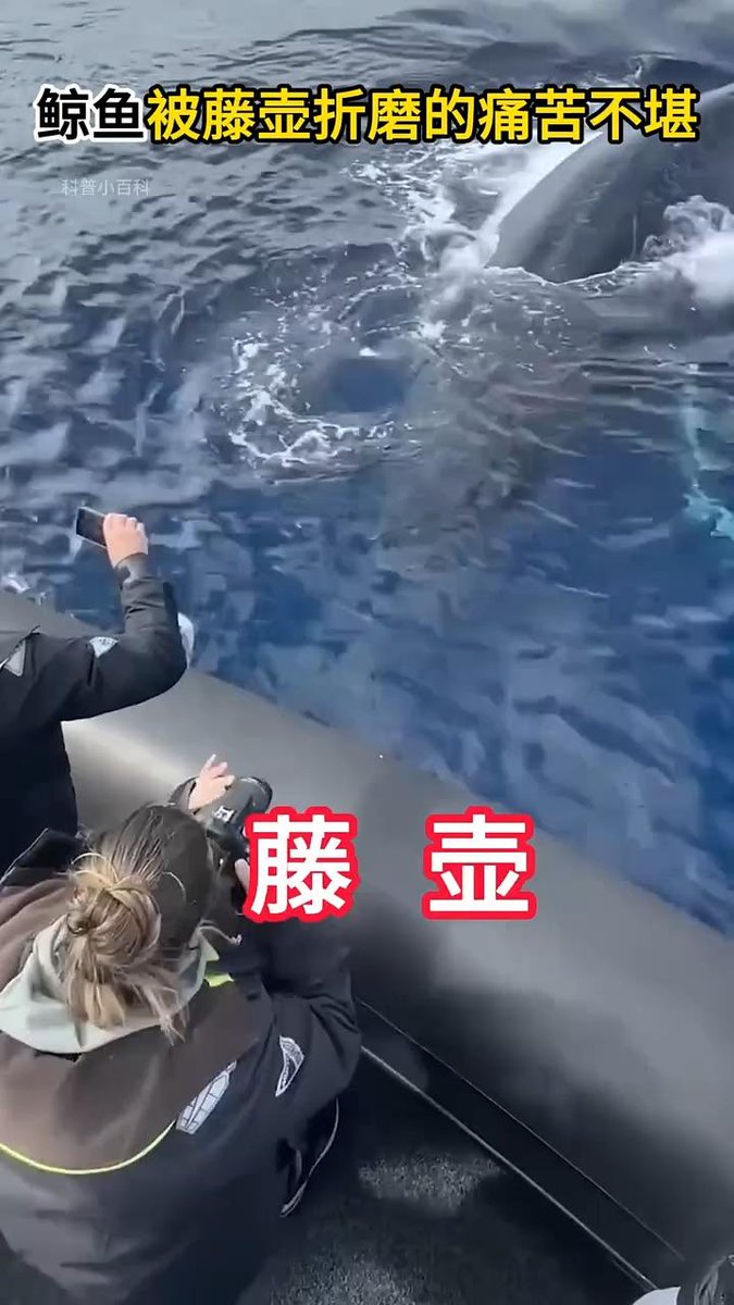 bendo.bouynot@gmail.com tweet media