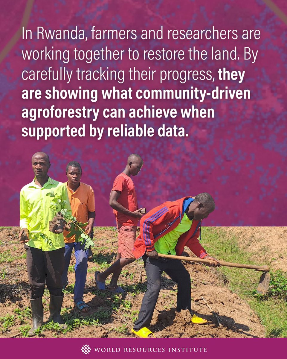 World Resources Institute tweet media