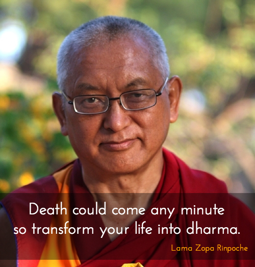 JDharmaQuotes's tweet image. Any minute ~ Lama Zopa Rinpoche
justdharma.org/any-minute/

#LamaZopaRinpoche #death #dharma #impermanence