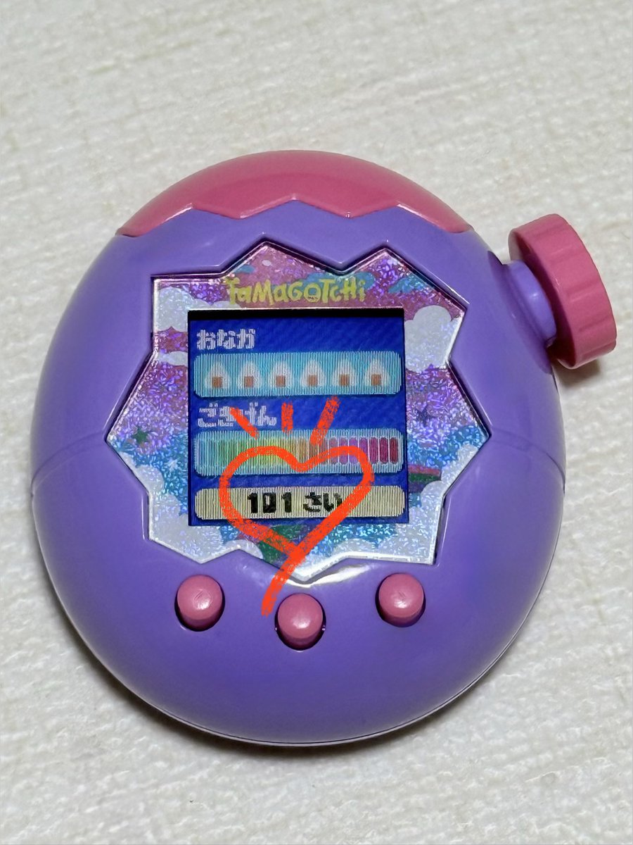 田中 しおり tweet media