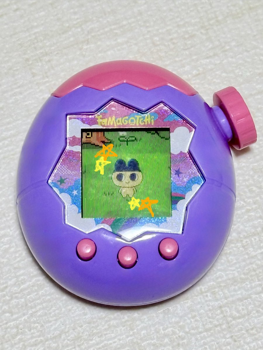 田中 しおり tweet media