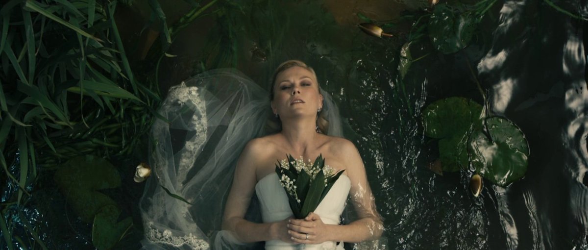 the cinema fella tweet media