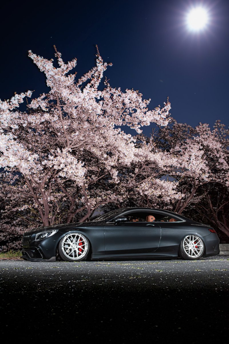 ライティングシリーズ🌸