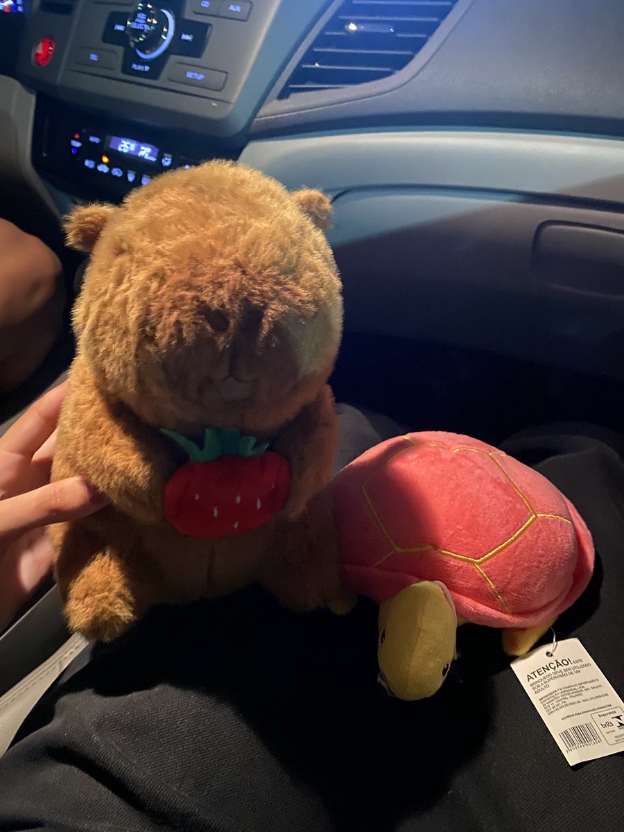 lelê ౨ৎ tweet media