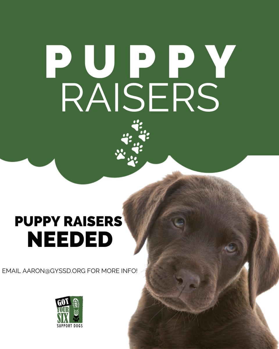 Got Your Six Dogs tweet media