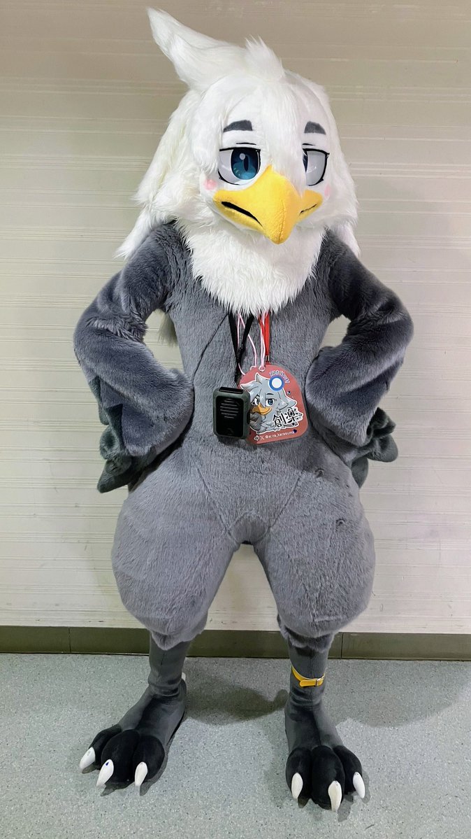 なんかる、🚢🍵/ひやむぎ。🐇🔜はつ☆じゅー会 tweet media