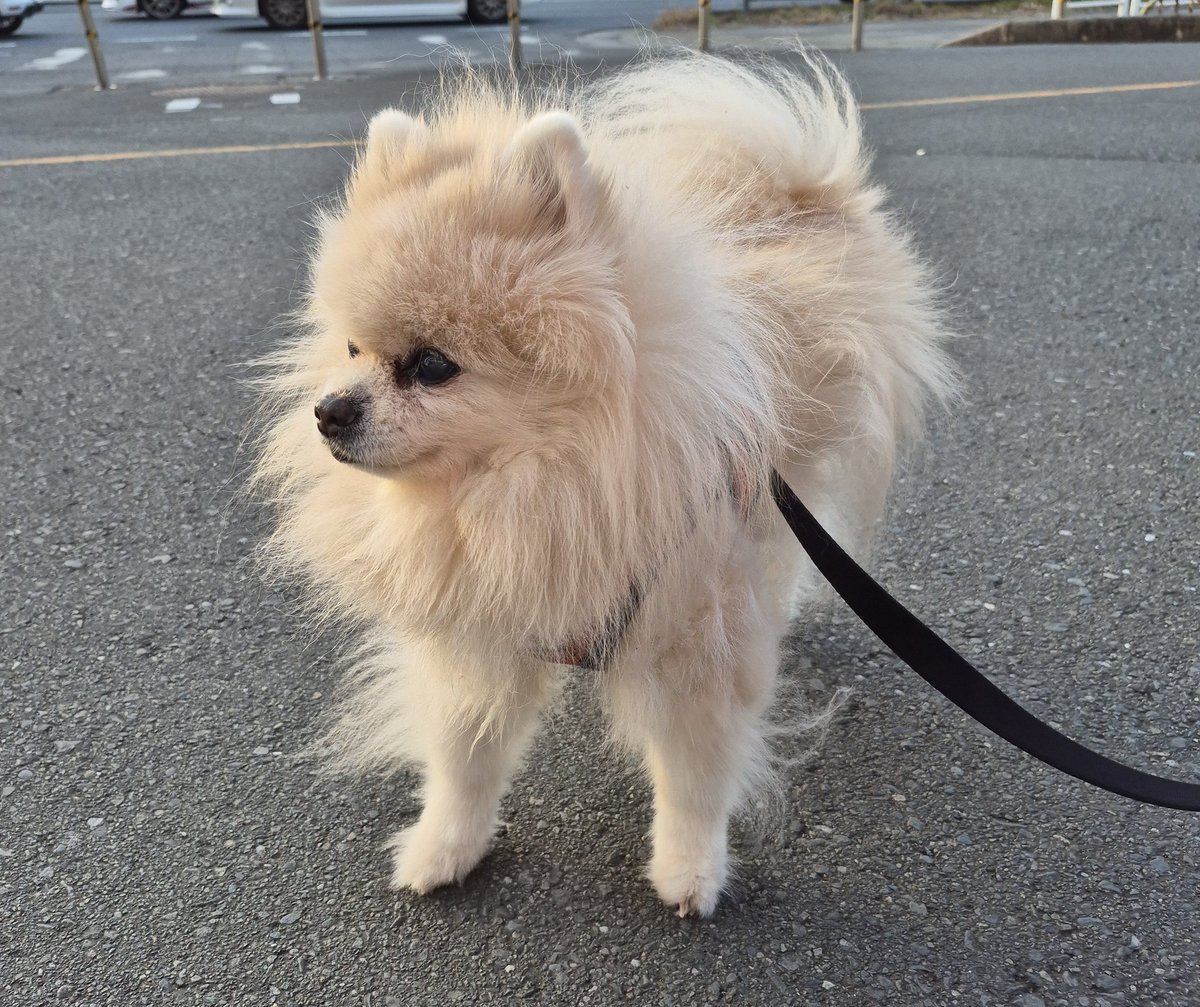 ぞの【Skeb受付中🤗】 tweet media