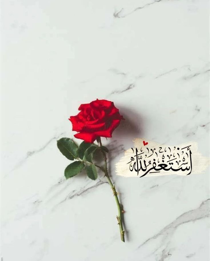 ‏⋆˚࿔ ليلى 𝜗𝜚˚⋆ tweet media