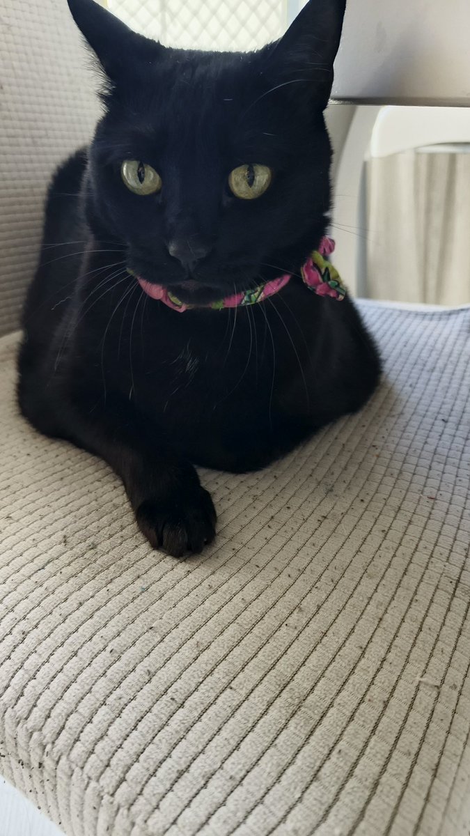 cucucu Gece & Gündüz tweet media