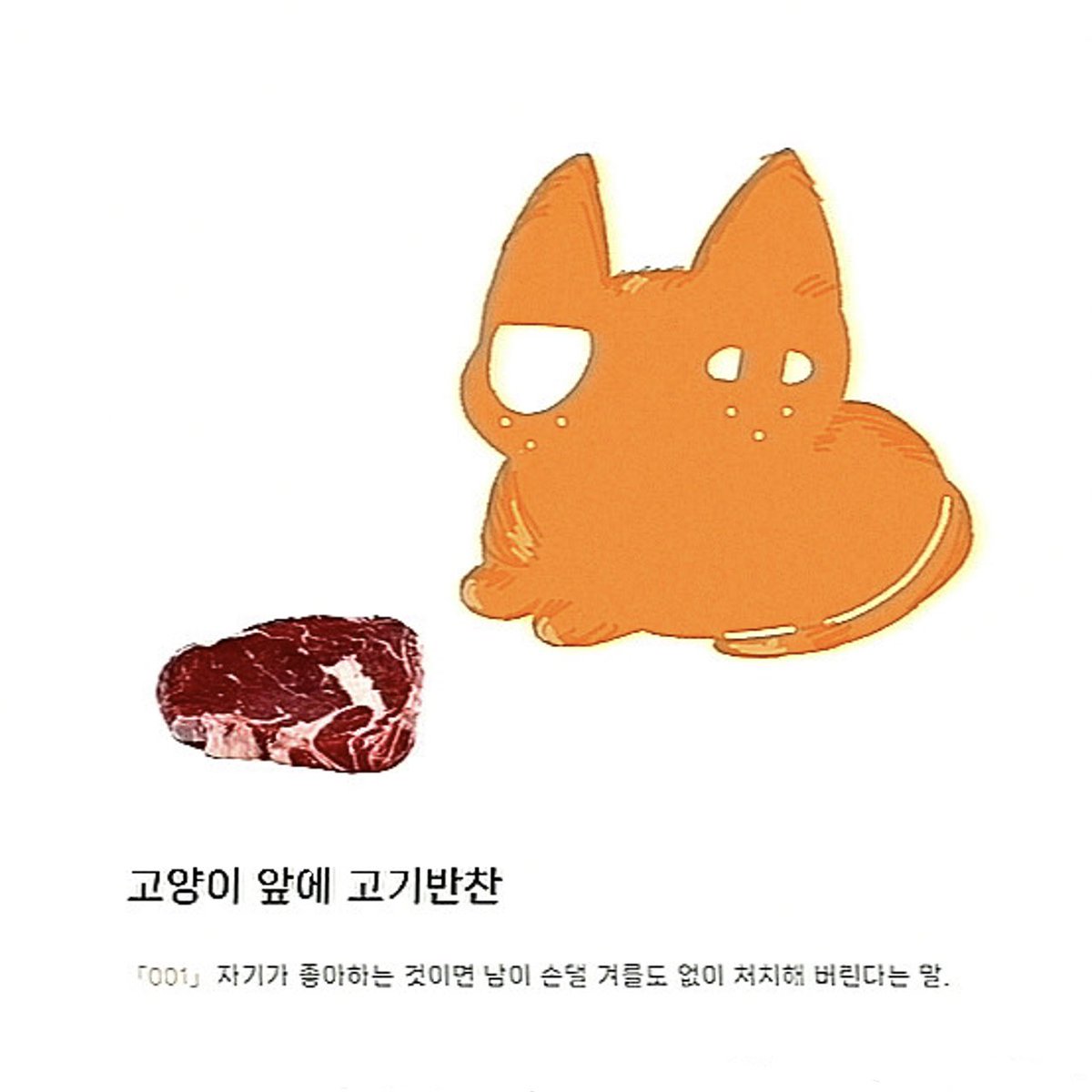 고양이 앞에 고기반찬