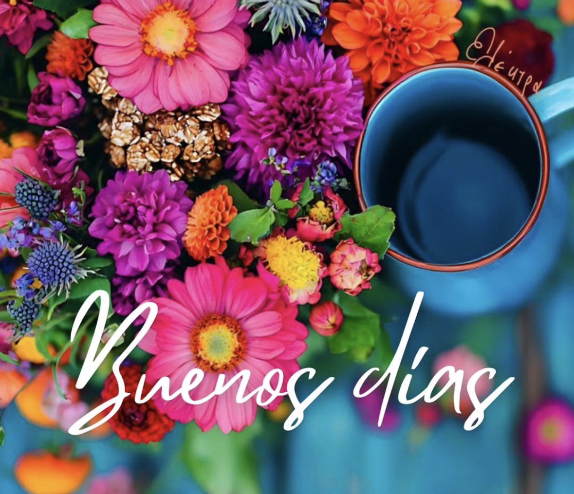 Verónica tweet media