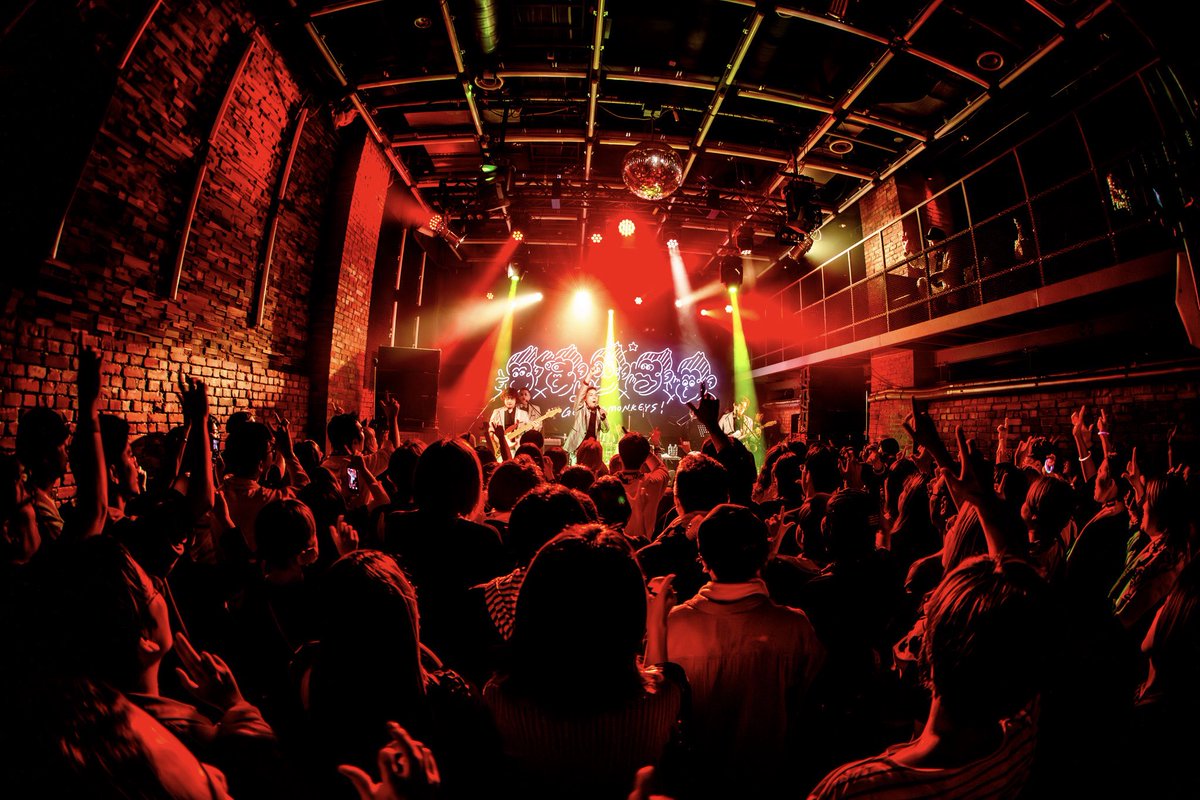 GET BILL MONKEYS tweet media