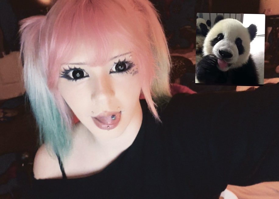 puppiecorpse's tweet image. me=panda #cutecore