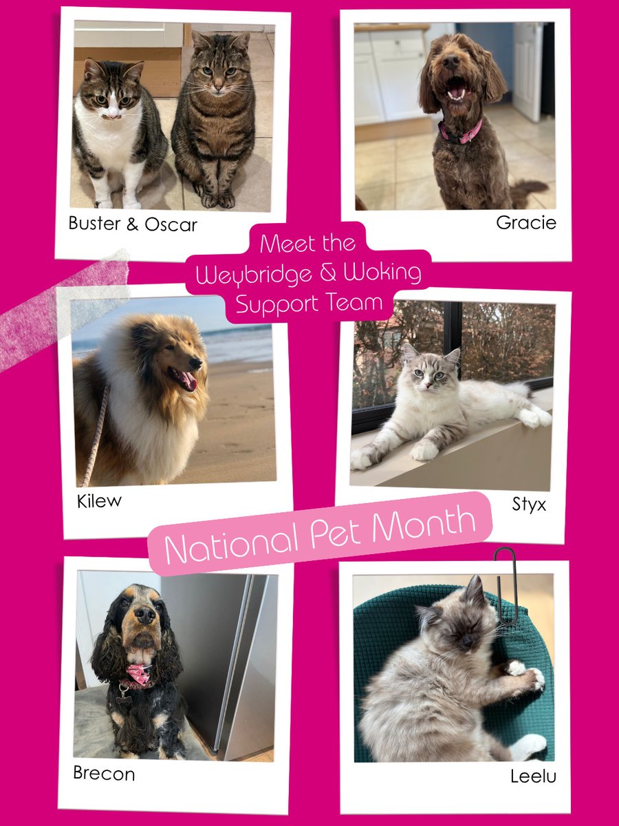 One of the perks of flexible working? More time with your four-legged “colleagues”.
If you’d love a little more breathing room in your day (and maybe an extra dog walk), we can help take care of the admin so you can step away from your desk guilt-free.