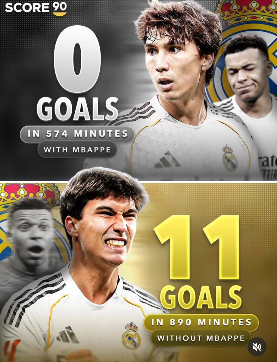 (fan) REAL MADRID FANS 🤍 tweet media