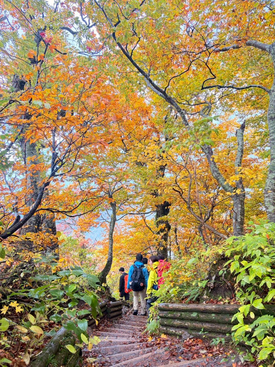 SUEC_1972's tweet photo. 実は新歓やってます
新歓では登山行ったりクライミングしたりするよ⛰️
入部したら洞窟にも行ける🔦
初心者大歓迎🫶🏻
詳細はオプチャまで‼️

オープンチャット「佐賀大学探検部_新歓用2026」
https://t.co/1dlvDuipKO…

 #春から佐賀大学
 #春から佐賀大
 #春から佐大
 #出遅れた
 #探検部
 #新歓 https://t.co/k42ptGlPJA